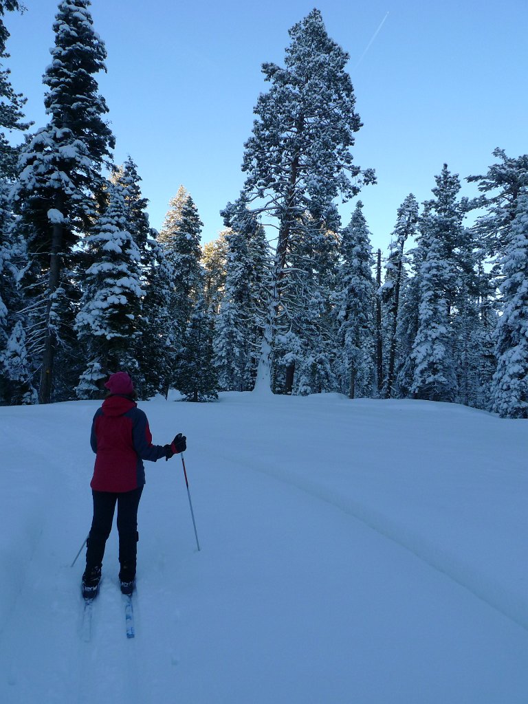 Christmas2010 159.JPG